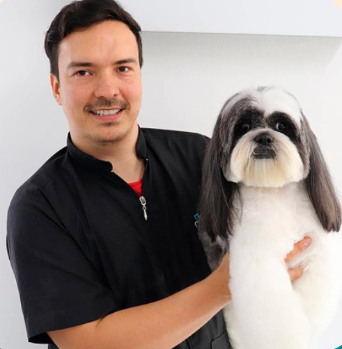 Andrés Salas, estilista canino profesional